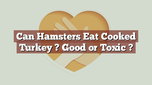 Can Hamsters Eat Cooked Turkey ? Good or Toxic ?