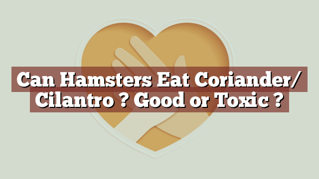 Can Hamsters Eat Coriander/ Cilantro ? Good or Toxic ?