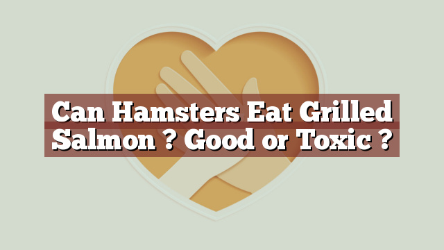 Can Hamsters Eat Grilled Salmon ? Good or Toxic ?