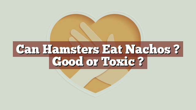 Can Hamsters Eat Nachos ? Good or Toxic ?