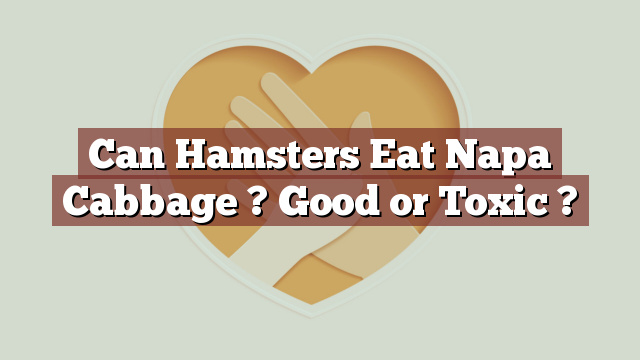 Can Hamsters Eat Napa Cabbage ? Good or Toxic ?