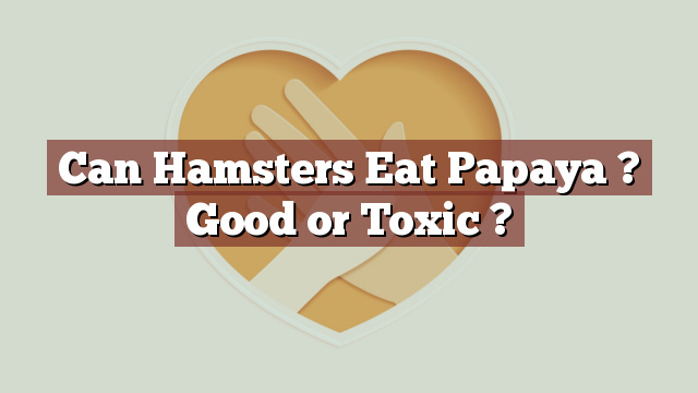 Can Hamsters Eat Papaya ? Good or Toxic ?