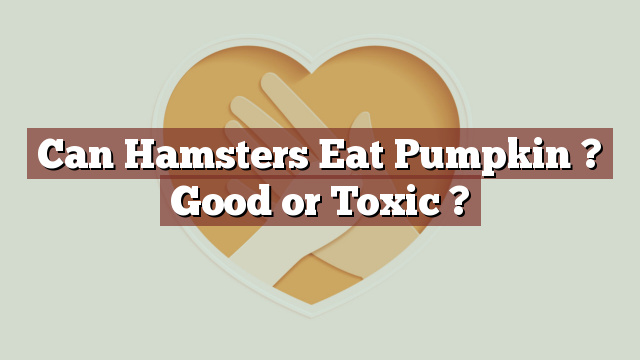 Can Hamsters Eat Pumpkin ? Good or Toxic ?