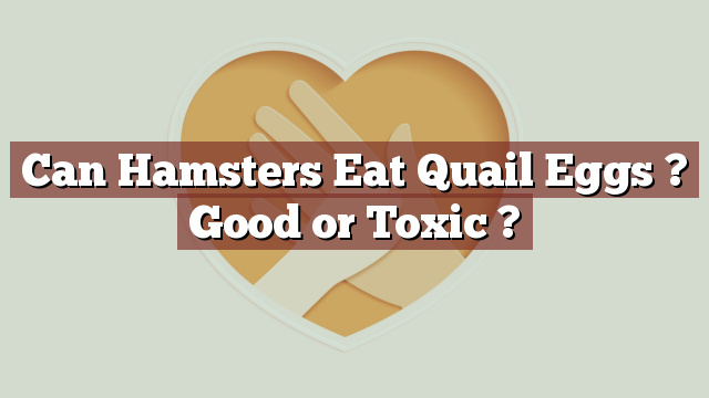 Can Hamsters Eat Quail Eggs ? Good or Toxic ?