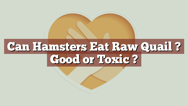 Can Hamsters Eat Raw Quail ? Good or Toxic ?