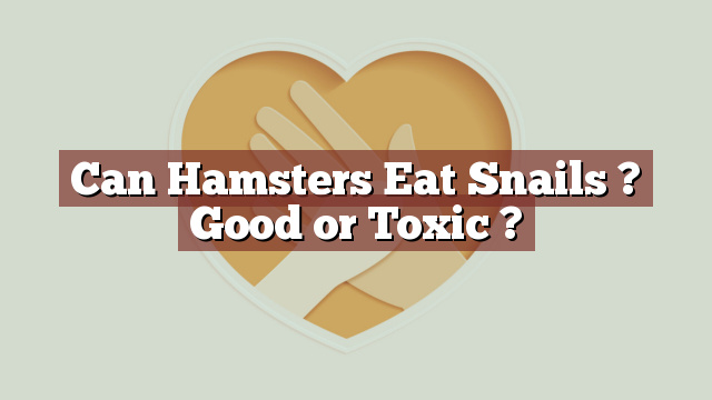 Can Hamsters Eat Snails ? Good or Toxic ?