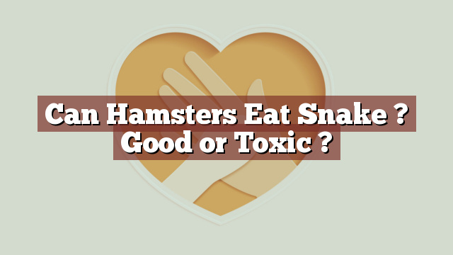 Can Hamsters Eat Snake ? Good or Toxic ?