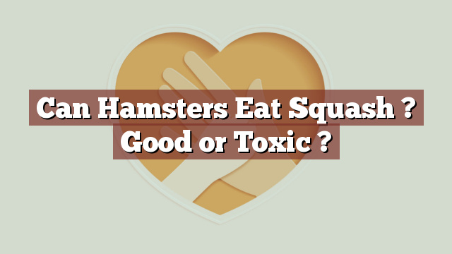 Can Hamsters Eat Squash ? Good or Toxic ?
