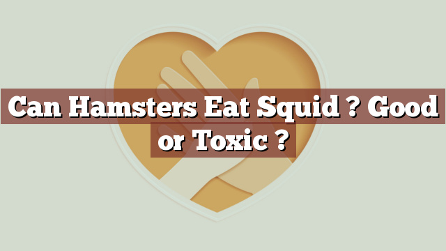 Can Hamsters Eat Squid ? Good or Toxic ?