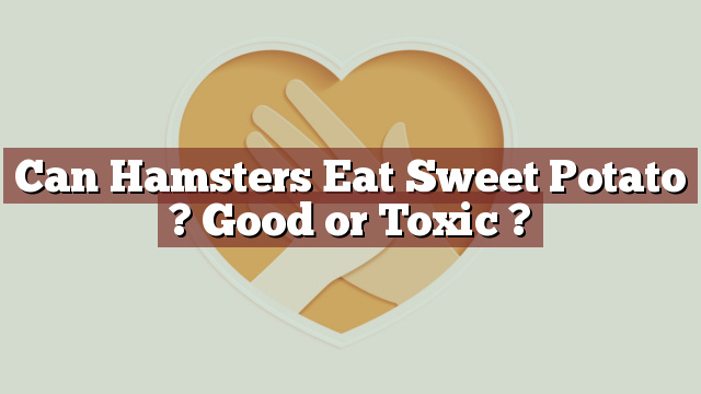 Can Hamsters Eat Sweet Potato ? Good or Toxic ?