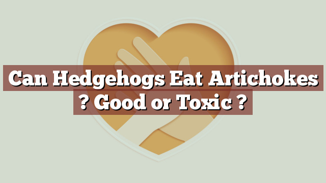 Can Hedgehogs Eat Artichokes ? Good or Toxic ?