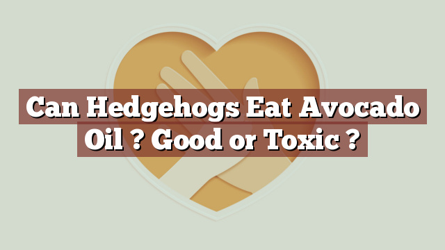 Can Hedgehogs Eat Avocado Oil ? Good or Toxic ?