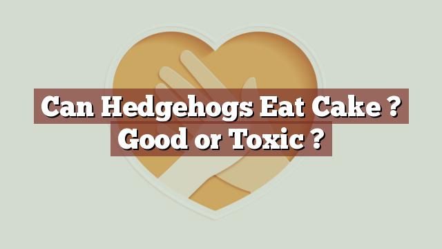 Can Hedgehogs Eat Cake ? Good or Toxic ?