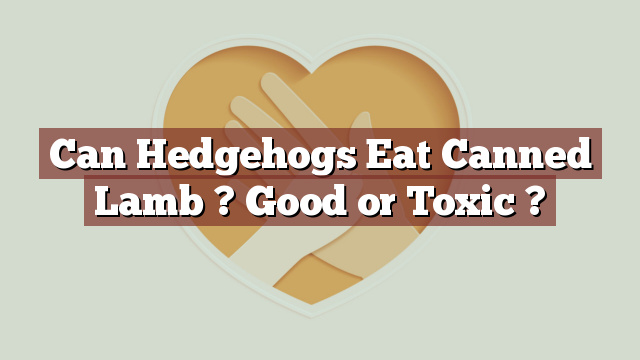 Can Hedgehogs Eat Canned Lamb ? Good or Toxic ?