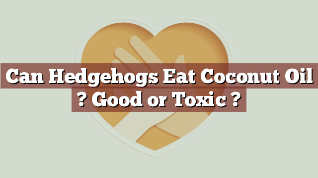 Can Hedgehogs Eat Coconut Oil ? Good or Toxic ?