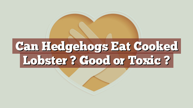 Can Hedgehogs Eat Cooked Lobster ? Good or Toxic ?