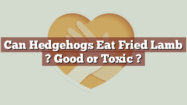 Can Hedgehogs Eat Fried Lamb ? Good or Toxic ?