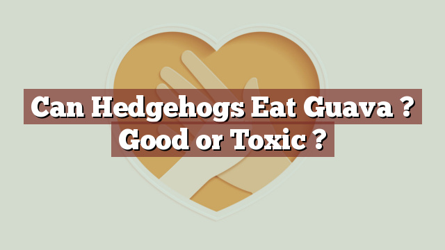 Can Hedgehogs Eat Guava ? Good or Toxic ?