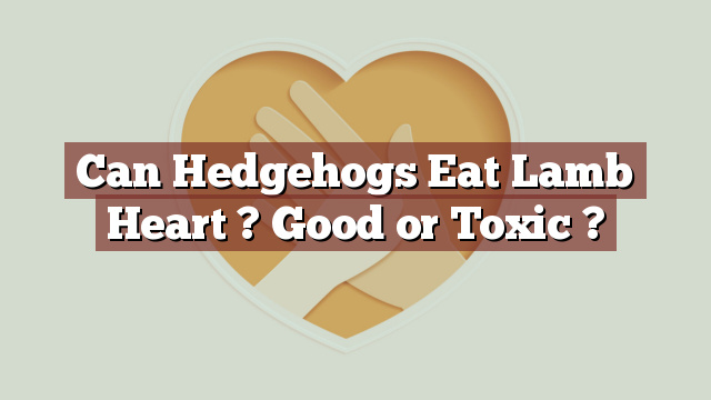 Can Hedgehogs Eat Lamb Heart ? Good or Toxic ?
