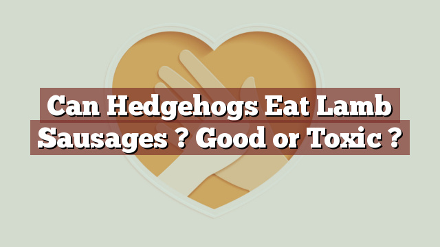 Can Hedgehogs Eat Lamb Sausages ? Good or Toxic ?