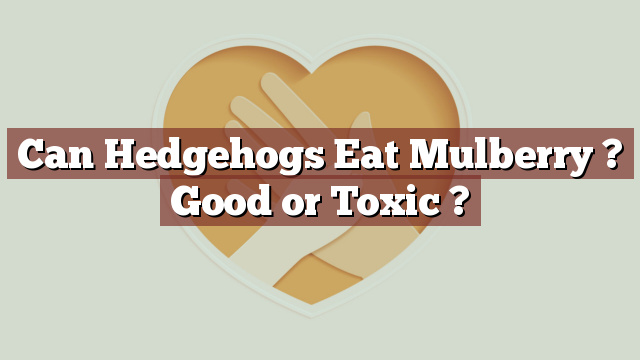 Can Hedgehogs Eat Mulberry ? Good or Toxic ?