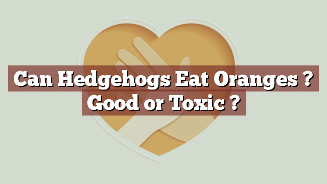 Can Hedgehogs Eat Oranges ? Good or Toxic ?