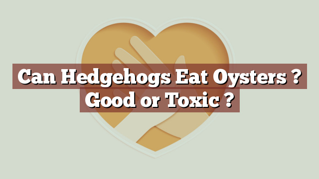 Can Hedgehogs Eat Oysters ? Good or Toxic ?