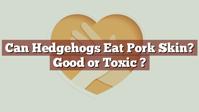 Can Hedgehogs Eat Pork Skin? Good or Toxic ?