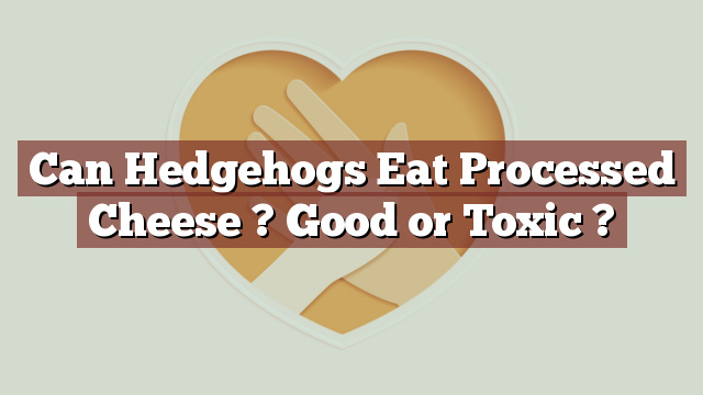 Can Hedgehogs Eat Processed Cheese ? Good or Toxic ?