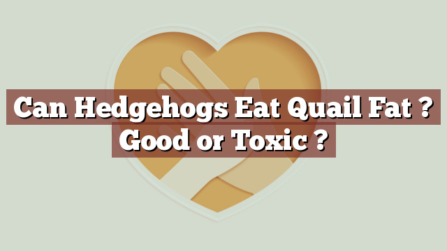 Can Hedgehogs Eat Quail Fat ? Good or Toxic ?