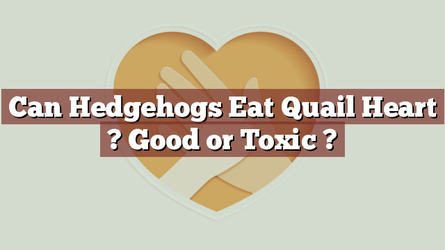 Can Hedgehogs Eat Quail Heart ? Good or Toxic ?