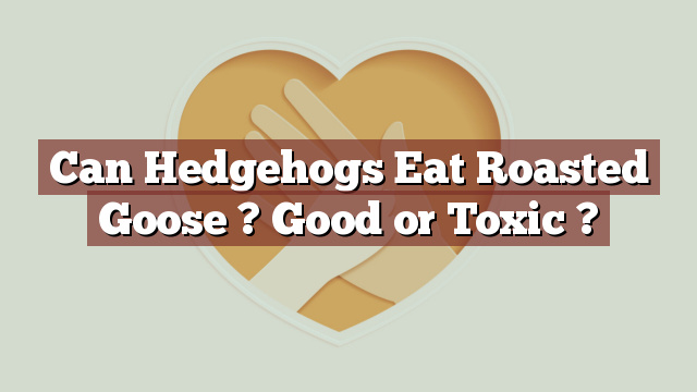 Can Hedgehogs Eat Roasted Goose ? Good or Toxic ?