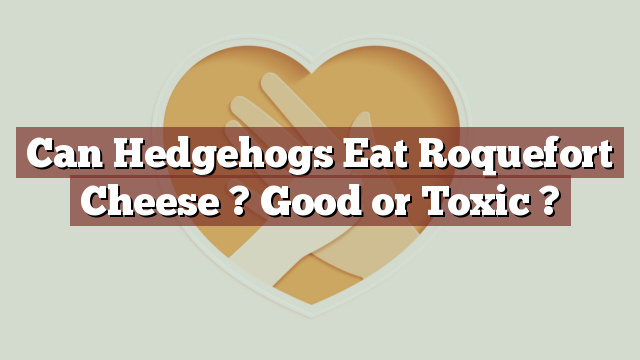 Can Hedgehogs Eat Roquefort Cheese ? Good or Toxic ?