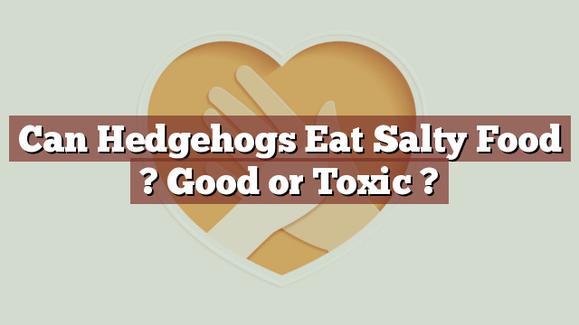 Can Hedgehogs Eat Salty Food ? Good or Toxic ?
