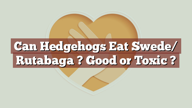 Can Hedgehogs Eat Swede/ Rutabaga ? Good or Toxic ?