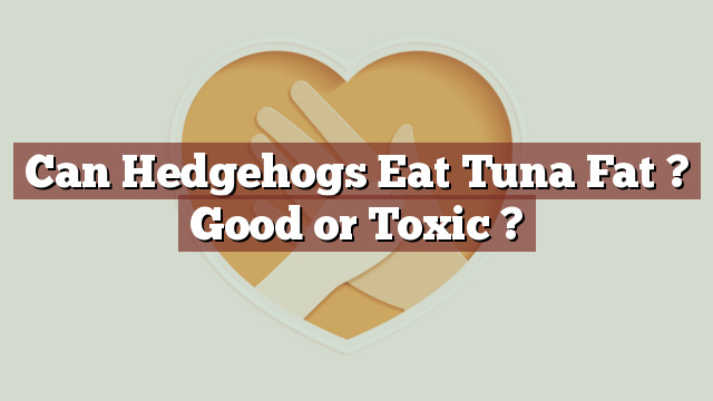 Can Hedgehogs Eat Tuna Fat ? Good or Toxic ?