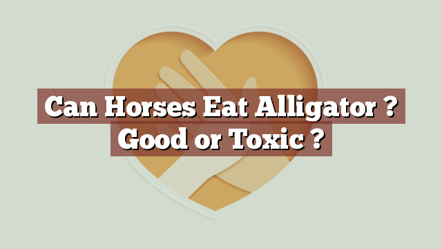 Can Horses Eat Alligator ? Good or Toxic ?