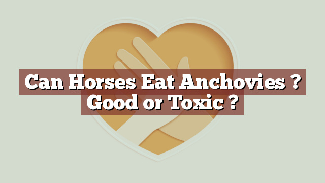 Can Horses Eat Anchovies ? Good or Toxic ?
