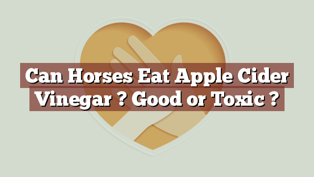 Can Horses Eat Apple Cider Vinegar ? Good or Toxic ?