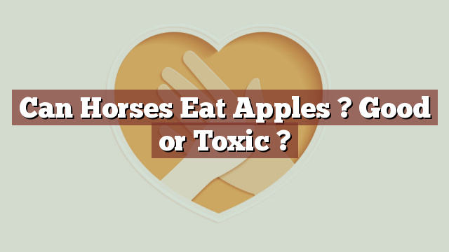 Can Horses Eat Apples ? Good or Toxic ?