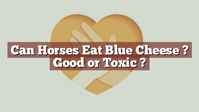 Can Horses Eat Blue Cheese ? Good or Toxic ?