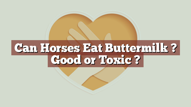 Can Horses Eat Buttermilk ? Good or Toxic ?