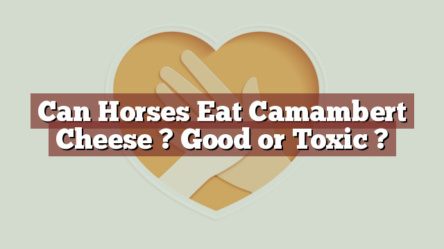 Can Horses Eat Camambert Cheese ? Good or Toxic ?