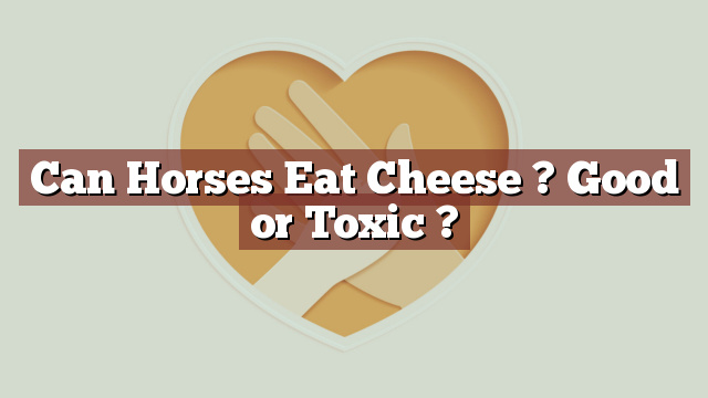Can Horses Eat Cheese ? Good or Toxic ?