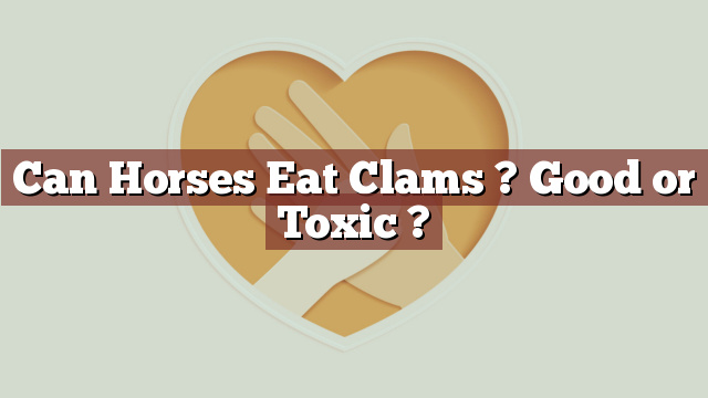 Can Horses Eat Clams ? Good or Toxic ?