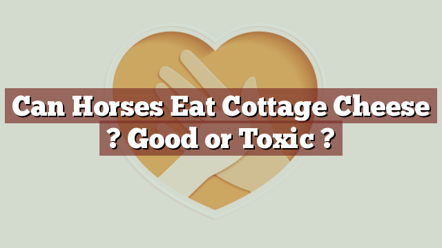 Can Horses Eat Cottage Cheese ? Good or Toxic ?