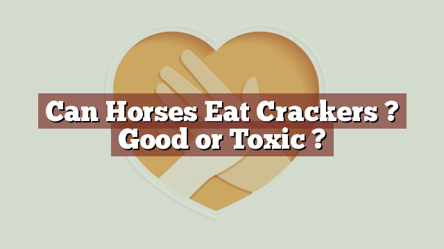 Can Horses Eat Crackers ? Good or Toxic ?