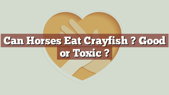 Can Horses Eat Crayfish ? Good or Toxic ?