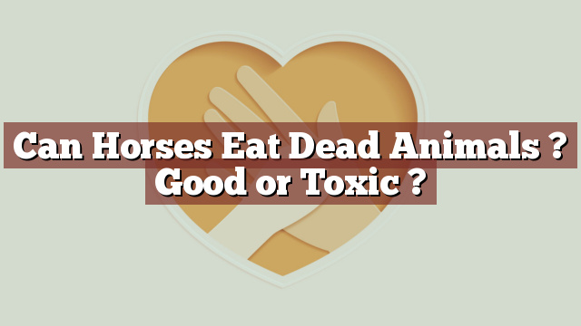 Can Horses Eat Dead Animals ? Good or Toxic ?