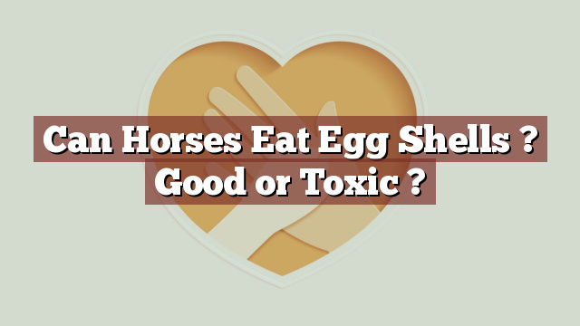 Can Horses Eat Egg Shells ? Good or Toxic ?